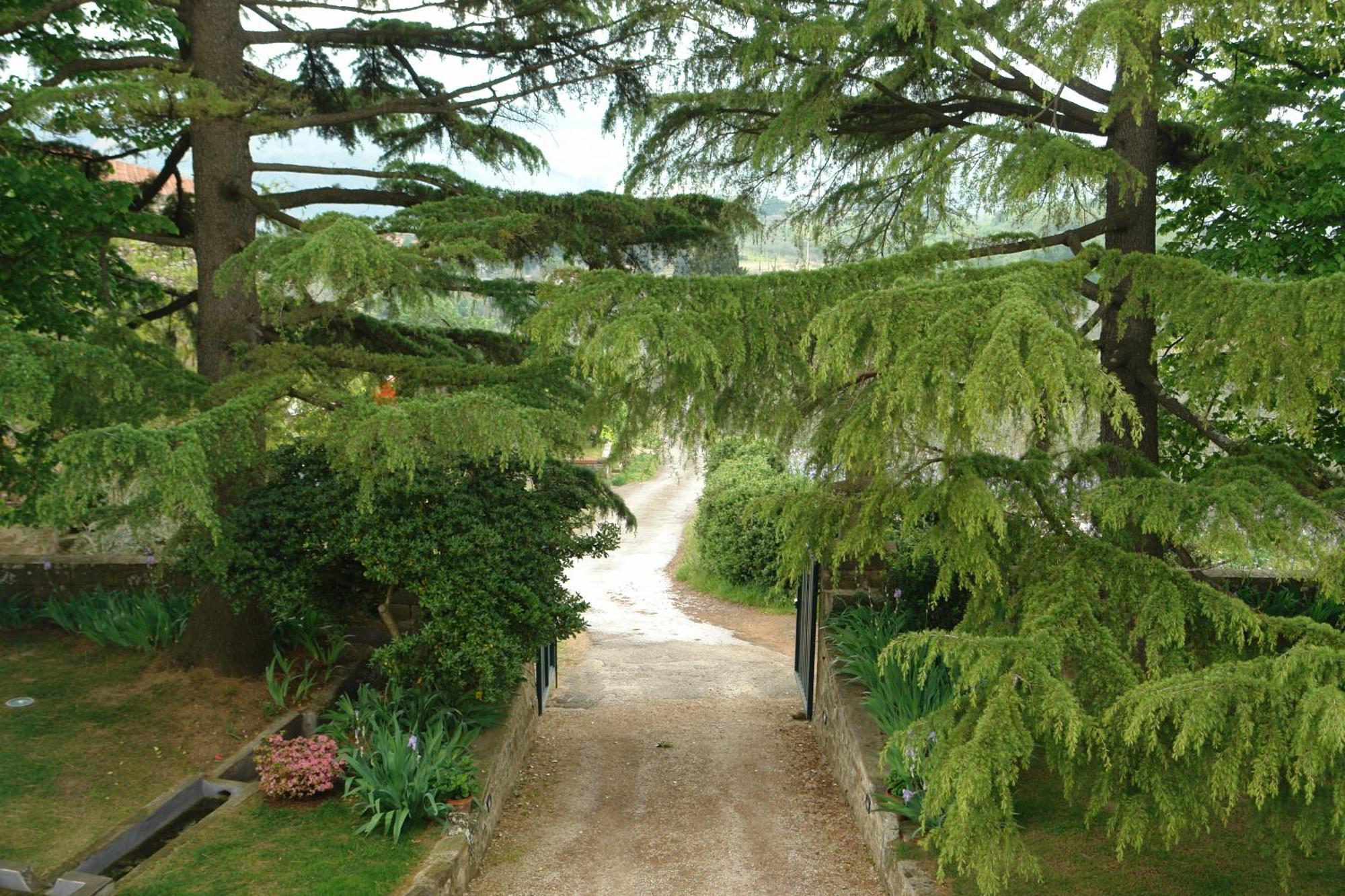 Relais Villa Belpoggio - Residenza D'Epoca Loro Ciuffenna Zimmer foto